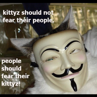 Illustration for article titled TEAM CAT LODGES A VOTE OF NO CONFIDENCE IN OUR CURRENT REGIME